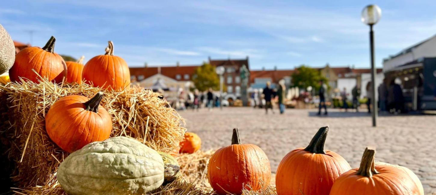 Køge Torv - græskar