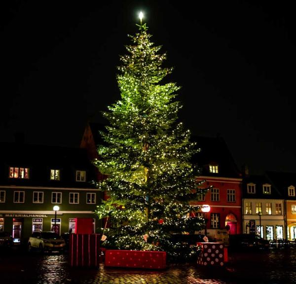 Juletræ på Køge Torv